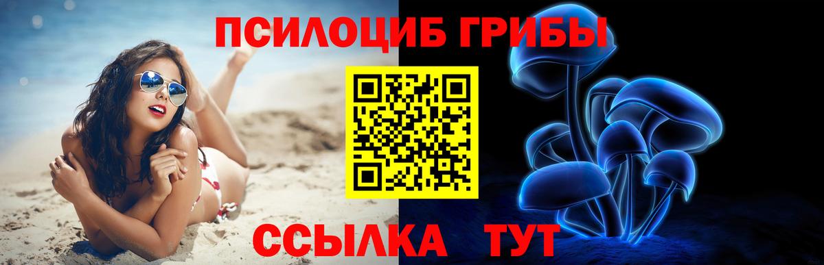Губкин  Галлюциногенные грибы Magic Shrooms  Галлюциногенные грибы Psilocybine cubensis  Вход с VPN 