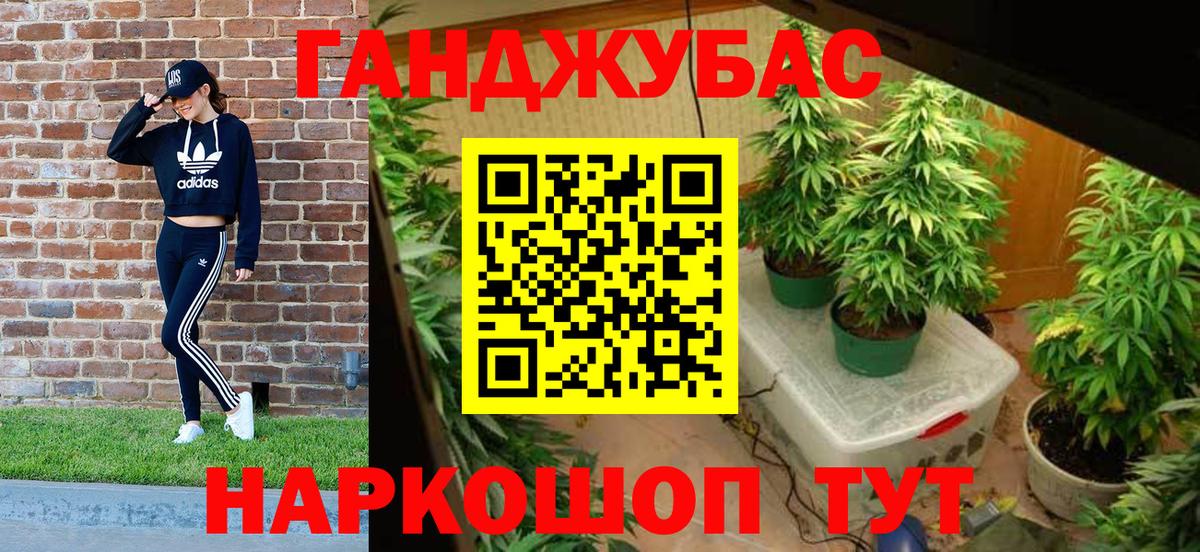 Шишки марихуана марихуана Губкин